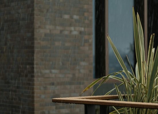 A stylish outdoor patio in the rain with a modern facade and lush greenery.